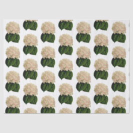 Papel De Seda Flores de Hortênsia Rosa Branco Verde Antigo #2