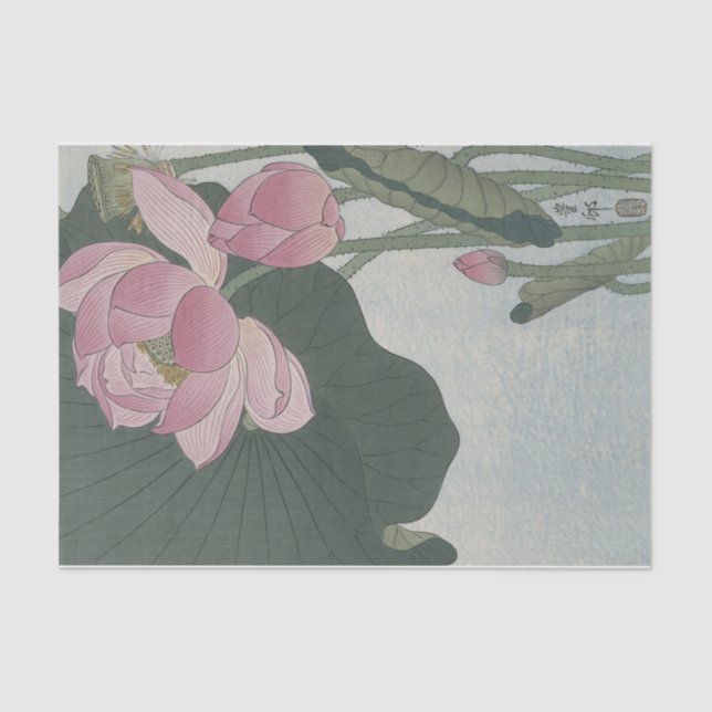 Papel De Seda Flores de Lotus Blooming por Ohara Koson (Frente )