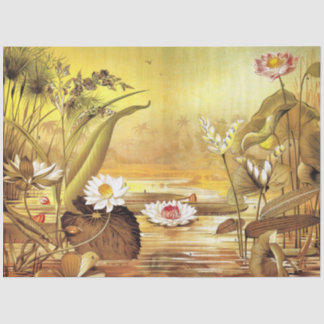 Papel De Seda Flores de Lótus Nymphaea Branca Vintage