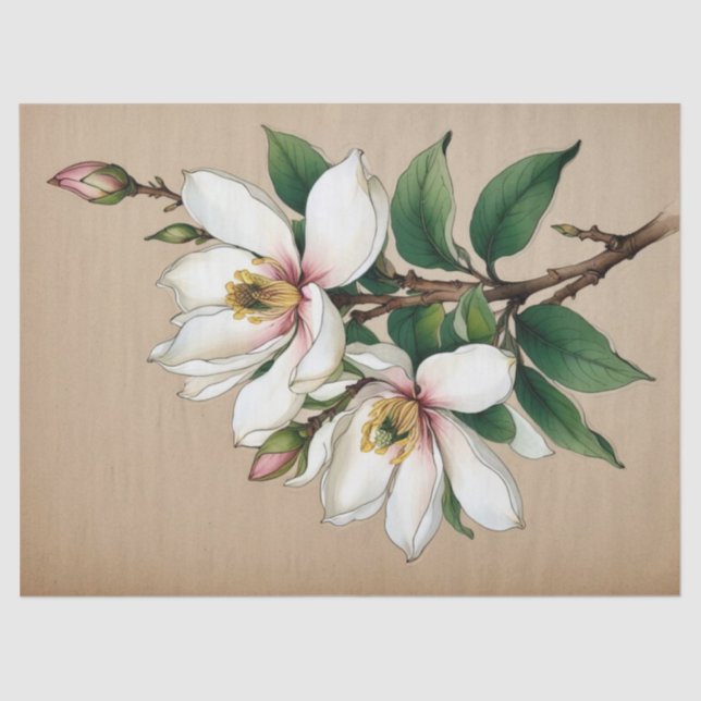 Papel De Seda Flores de Magnólia (Frente )