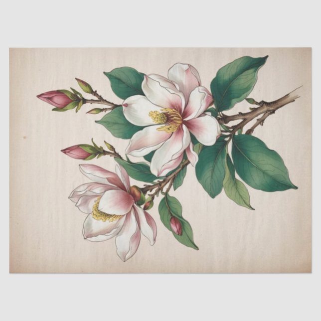 Papel De Seda Flores de Magnólia (Frente )