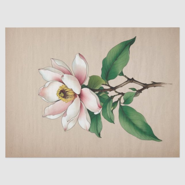 Papel De Seda Flores de Magnólia (Frente )