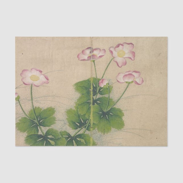 Papel De Seda Flores de Malva por Zhang Ruoai (Frente )