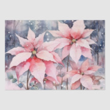 Flores de Poinsettia, Cor-de-Água, Rosa, Neve