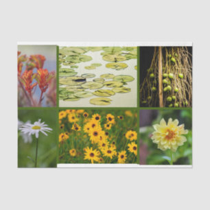 Papel De Seda Flores de Tema Verde Plantas Lily Pad Mídia Mistur