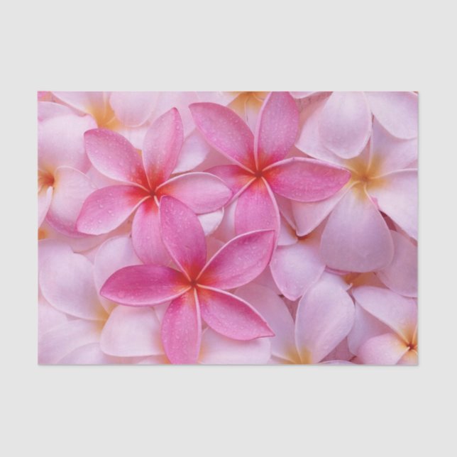 Papel De Seda Flores de Verão Rosa bonito (Frente )