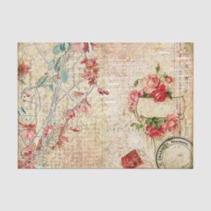 Papel De Seda Flores e Rosas cor-de-rosa deliciosos