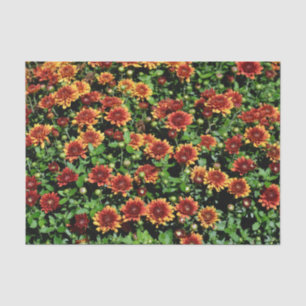 Papel De Seda Flores Laranja e Vermelha