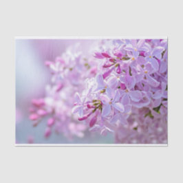 Papel De Seda Flores lilás rosa