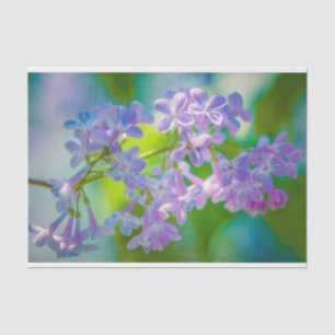 Papel De Seda Flores Liláticas Roxas