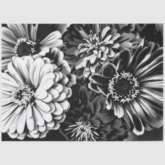 Papel de seda flores pretas e brancas