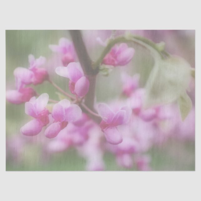 Papel De Seda Flores Redbud (Frente )