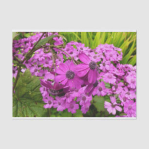 Papel De Seda Flores Roxas de São Francisco