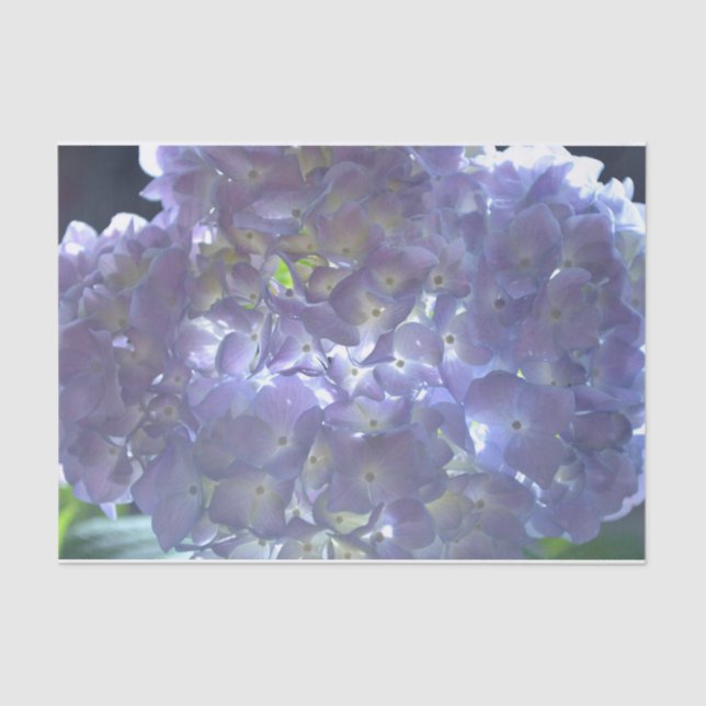 Papel De Seda Flores roxas roxas, poeiras, empoeiradas (Frente )