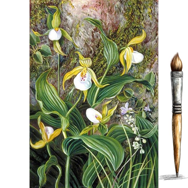 Papel De Seda Flores Selvagens de Simla, Índia por Marianne Nort (Criador carregado)