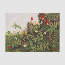 Papel De Seda Flores selvagens nº 1 por Ellen Robbins