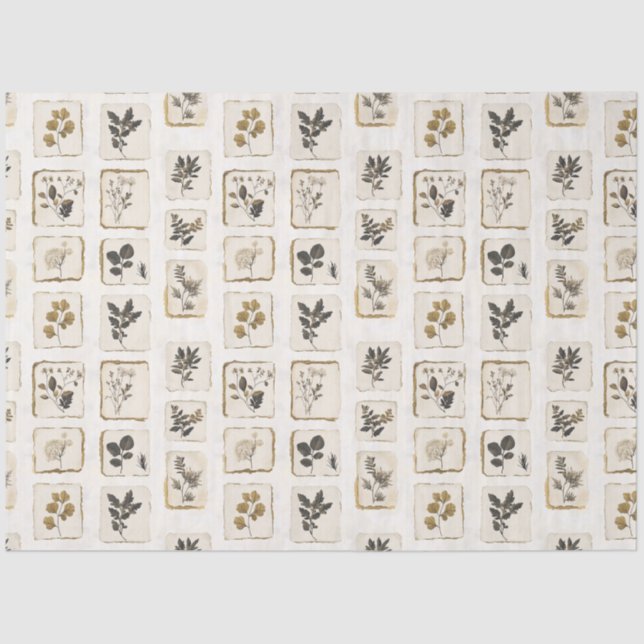 Papel De Seda Flores silvestres botânicas herbais prensadas seca (Frente )
