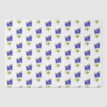 Flores Texas Bluebonnets,