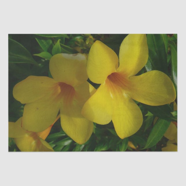 Papel De Seda Flores tropicais II ouros (Frente )