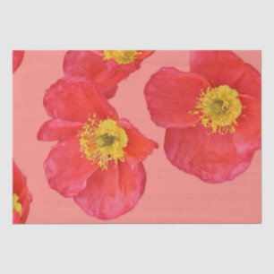 Papel De Seda Flores vermelhas da papoila