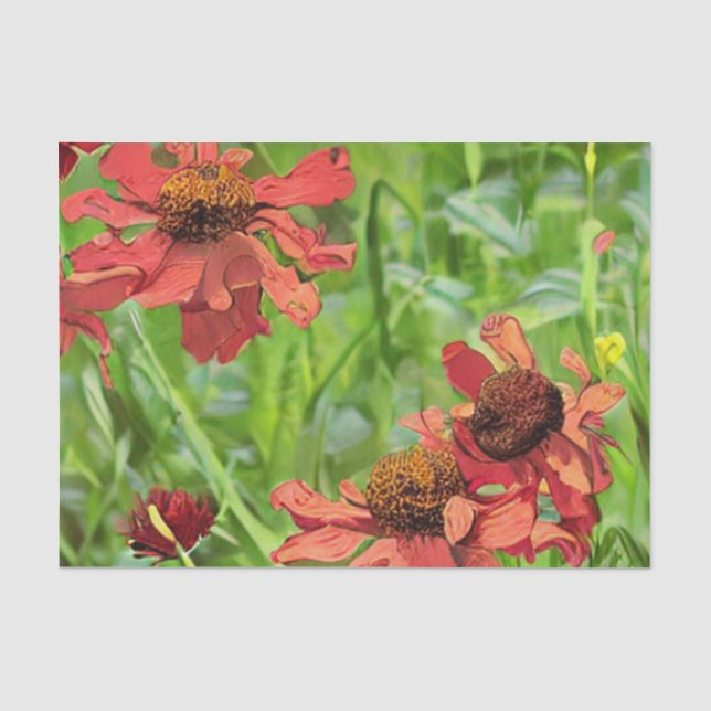 PAPEL DE SEDA FLÔRES VERMELHAS DE RUDBECKIA (Frente )