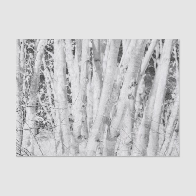 Papel De Seda Floresta Bétulas Pretas e Brancas (Frente )