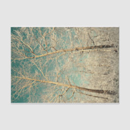 Papel De Seda Floresta Céu Teal Céu Inverno