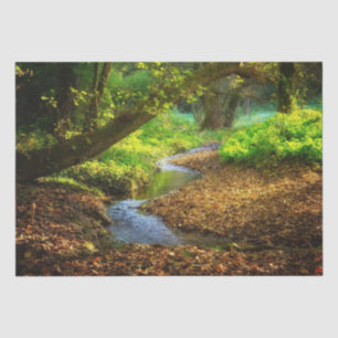 Papel De Seda Floresta Creek Belo Paisagem Natural