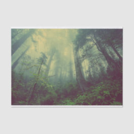 Papel De Seda Floresta De Baixo