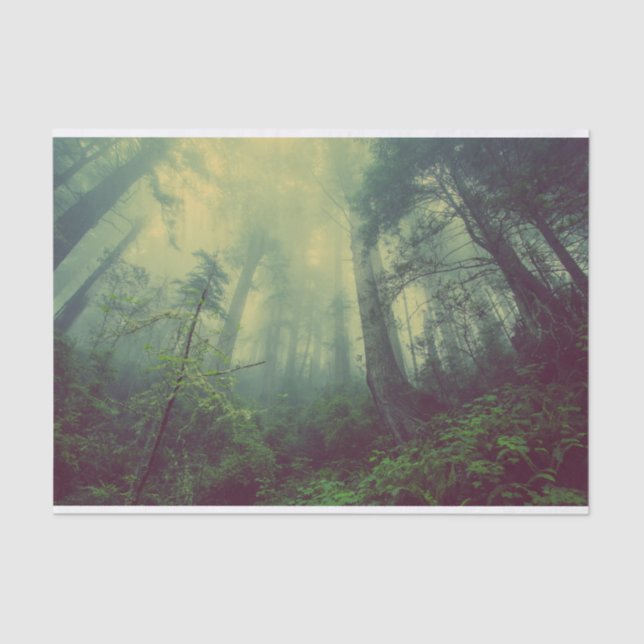 Papel De Seda Floresta De Baixo (Frente )