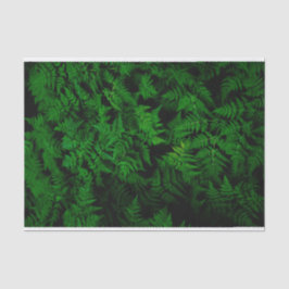 Papel De Seda Floresta de Dinossauro