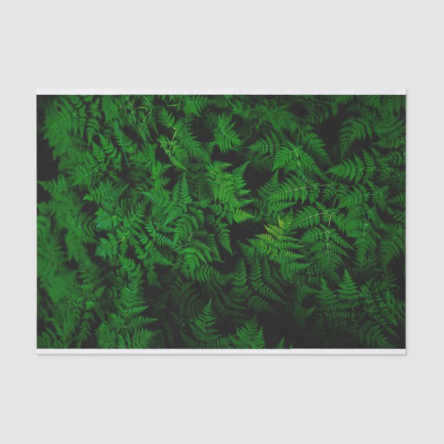 Papel De Seda Floresta de Dinossauro (Frente )