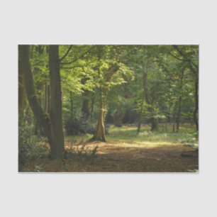 Papel De Seda Floresta de Epping