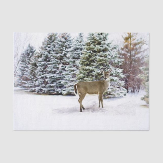 Papel De Seda Floresta de Inverno Encantada com Arte de Natal de (Frente )