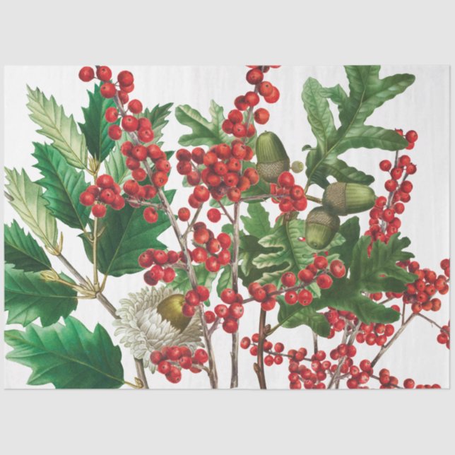 Papel De Seda Floresta de Natal Berries Festivos Acorn Evergreen (Frente )