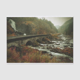 Papel De Seda Floresta de outono e paisagem fluvial