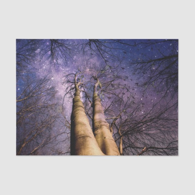 Papel De Seda Floresta Encantada (Frente )