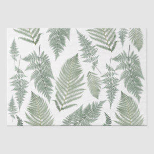 Papel De Seda Floresta Fern Fronds Vintage Greenery Botânica