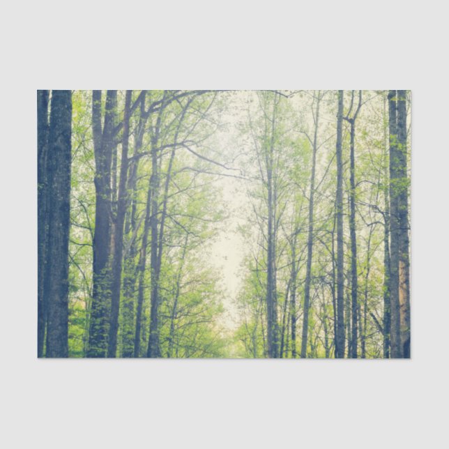 Papel De Seda Floresta mística (Frente )