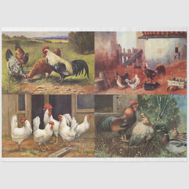 Papel De Seda Florestais Franceses Roosters Quad 1 Decoupage (Frente )