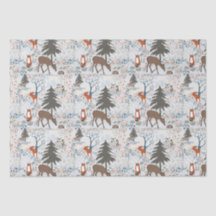 Florestas De inverno