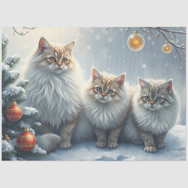 Papel De Seda Fluffy Christmas Cats Tissue Paper (Frente )