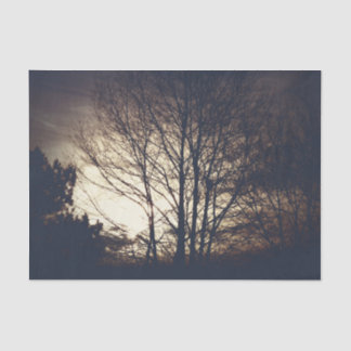 Papel De Seda Foggy Fall Night