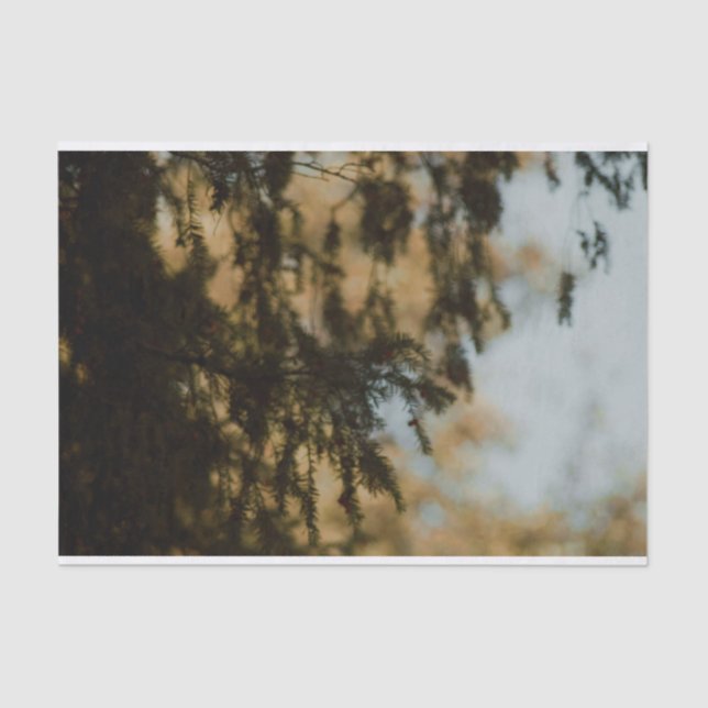 Papel De Seda Folha bonita folhas de tecido (Frente )