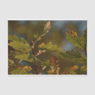 Papel De Seda Folha bonita folhas de tecido