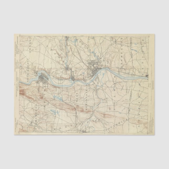 Papel De Seda Folha de 4 Springfield (Frente )