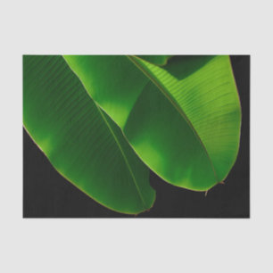 Papel De Seda Folha de Banana Verde Vibrante Tropical Close-up