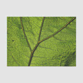 Papel De Seda Folha de Borboleta Verde
