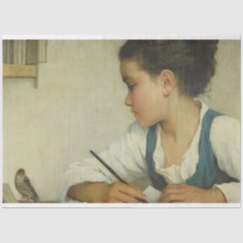 Papel De Seda Folha de Desligamento e Transferência de Imagens d