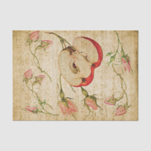 Papel De Seda Folha de Música Vintage com Rosa e Apple Francês